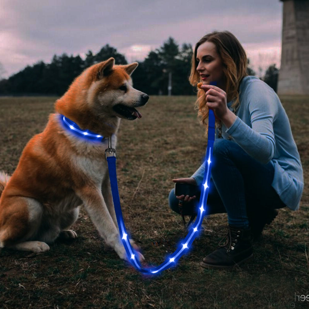 Dotted LED Flashing Dog Leash, Traction Rope, Best Seller Pet Leash, High Quality Pet Accessory, USB Rechargeable