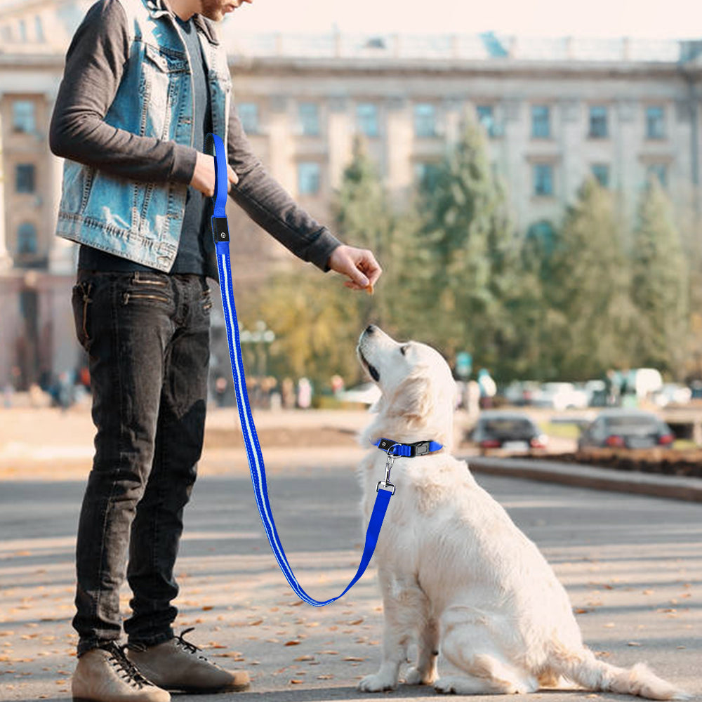 Dotted LED Flashing Dog Leash, Traction Rope, Best Seller Pet Leash, High Quality Pet Accessory, USB Rechargeable