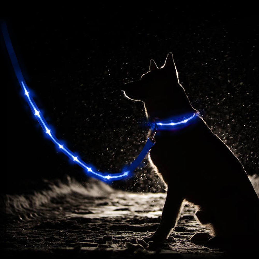 Dotted LED Flashing Dog Leash, Traction Rope, Best Seller Pet Leash, High Quality Pet Accessory, USB Rechargeable