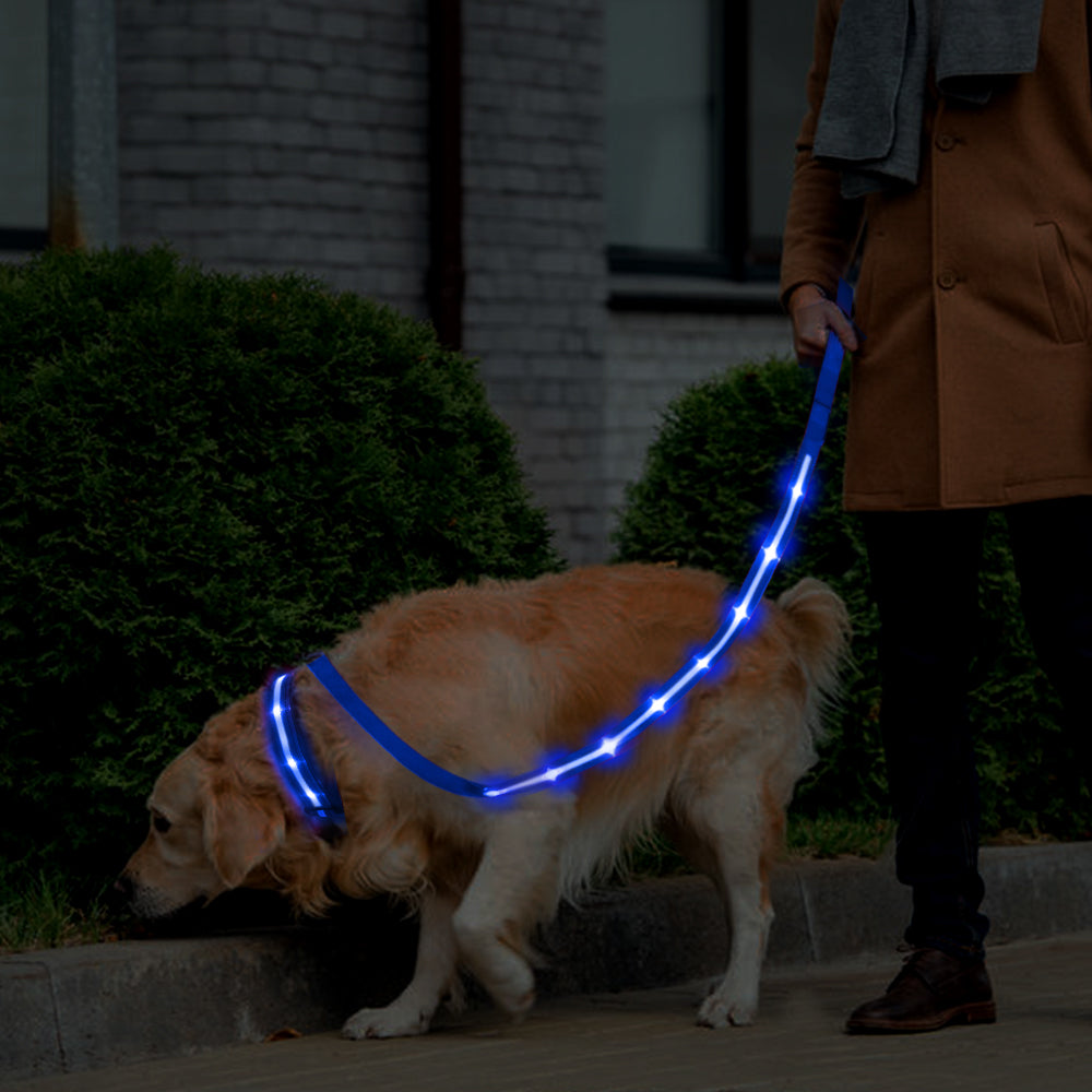 Dotted LED Flashing Dog Leash, Traction Rope, Best Seller Pet Leash, High Quality Pet Accessory, USB Rechargeable