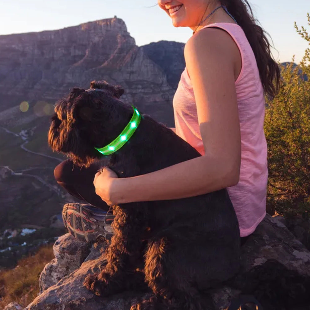 Dotted LED Flashing Dog Collar, Traction Collar, Best Seller Pet Collar, High Quality Pet Accessory, USB Rechargeable.