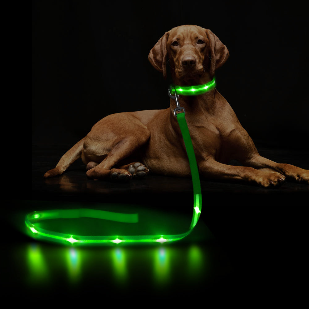Dotted LED Flashing Dog Leash, Traction Rope, Best Seller Pet Leash, High Quality Pet Accessory, USB Rechargeable