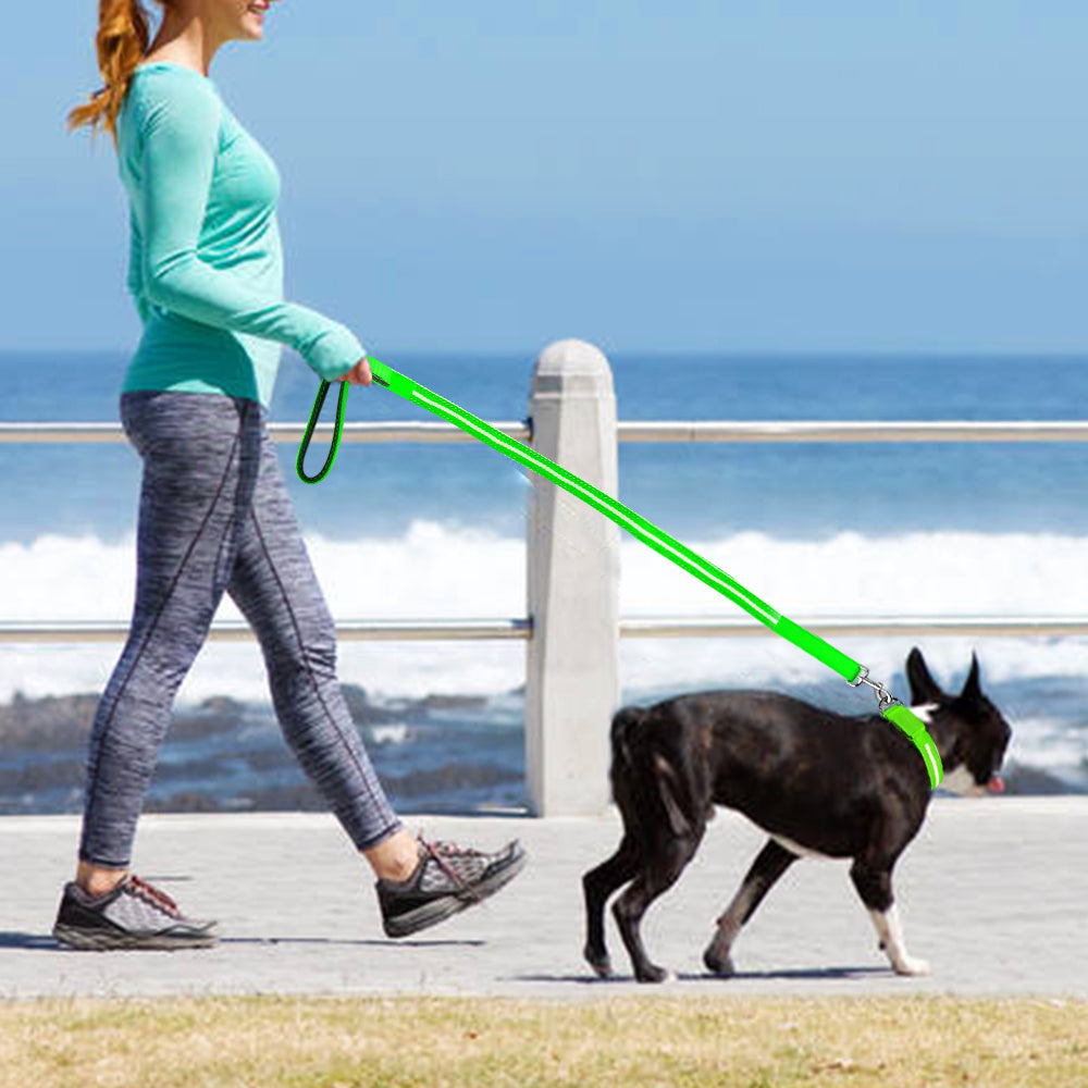 Dotted LED Flashing Dog Leash, Traction Rope, Best Seller Pet Leash, High Quality Pet Accessory, USB Rechargeable