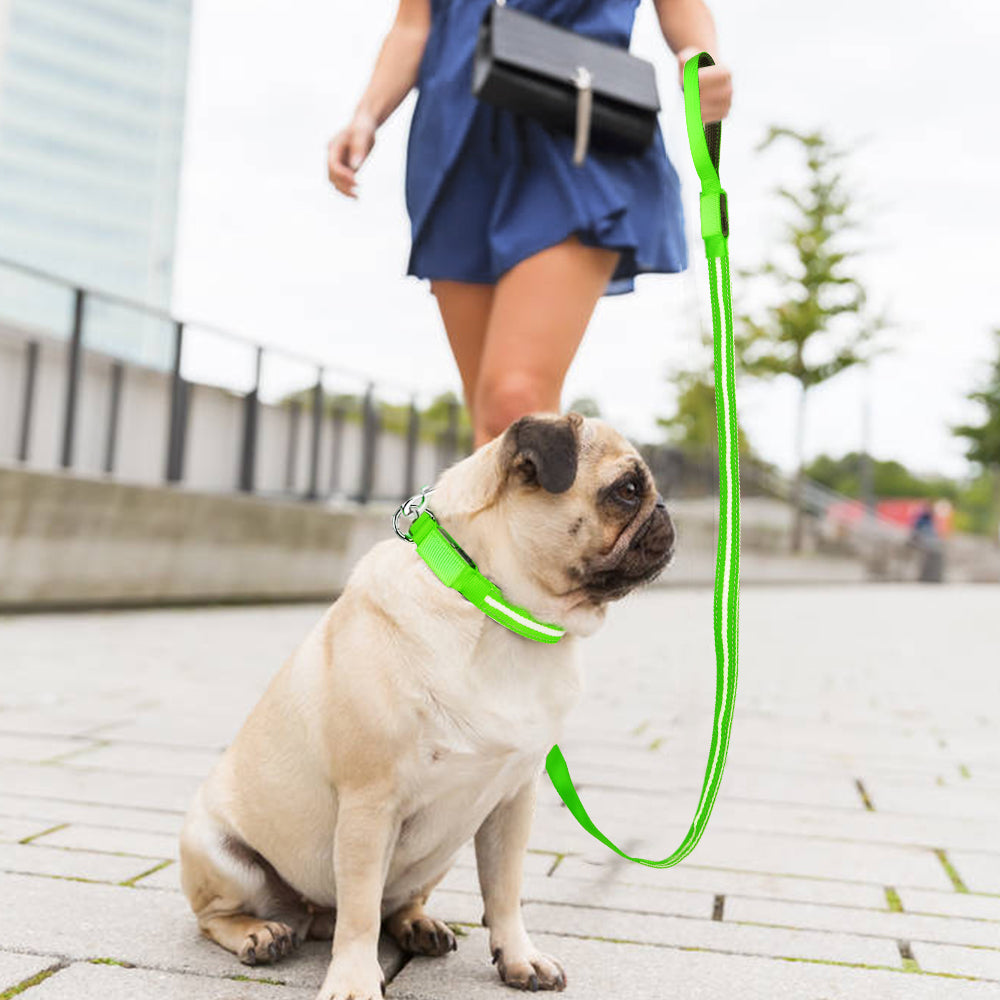 Dotted LED Flashing Dog Leash, Traction Rope, Best Seller Pet Leash, High Quality Pet Accessory, USB Rechargeable