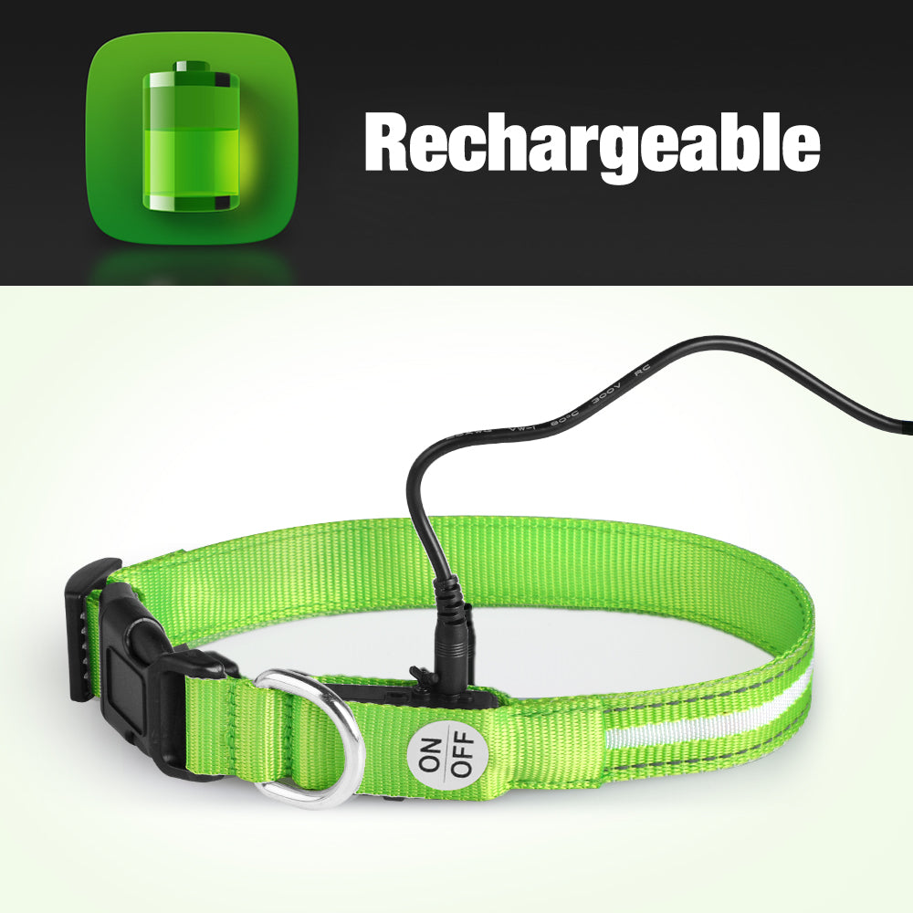 Dotted LED Flashing Dog Collar, Traction Collar, Best Seller Pet Collar, High Quality Pet Accessory, USB Rechargeable.