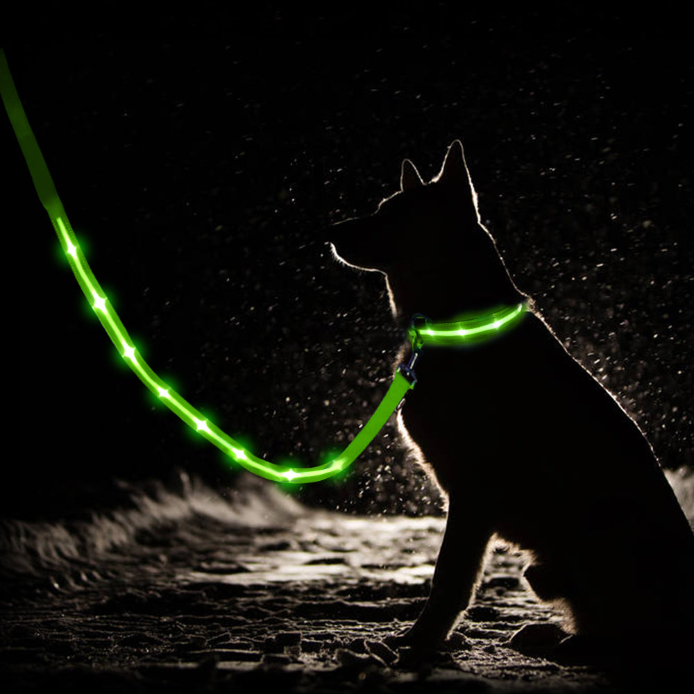 Dotted LED Flashing Dog Leash, Traction Rope, Best Seller Pet Leash, High Quality Pet Accessory, USB Rechargeable