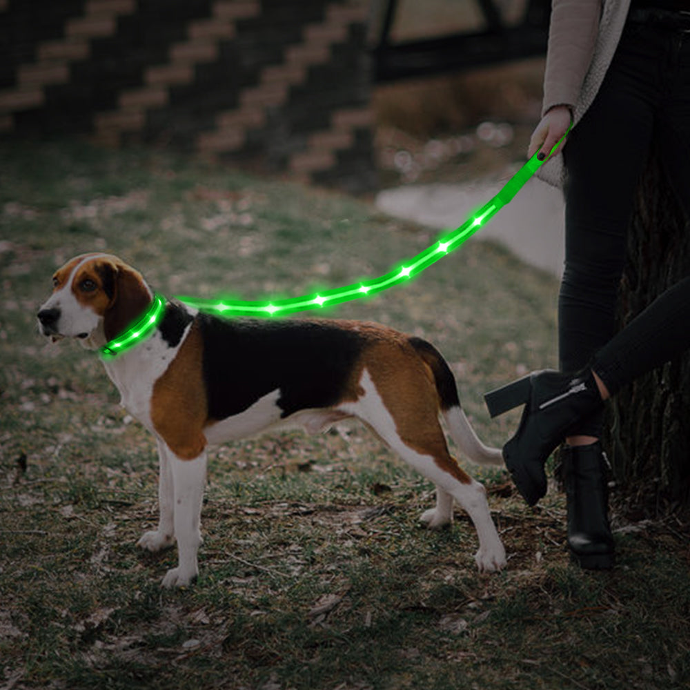 Dotted LED Flashing Dog Leash, Traction Rope, Best Seller Pet Leash, High Quality Pet Accessory, USB Rechargeable