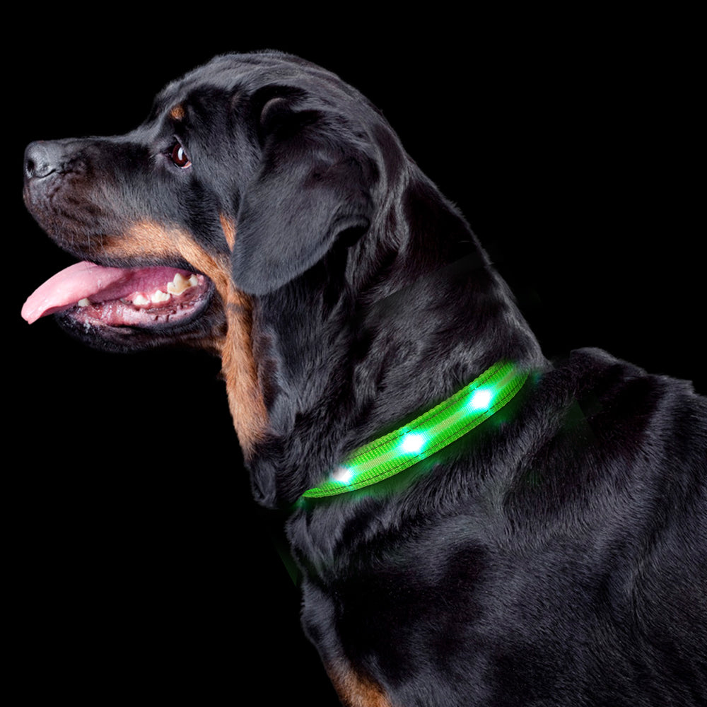 Dotted LED Flashing Dog Collar, Traction Collar, Best Seller Pet Collar, High Quality Pet Accessory, USB Rechargeable.