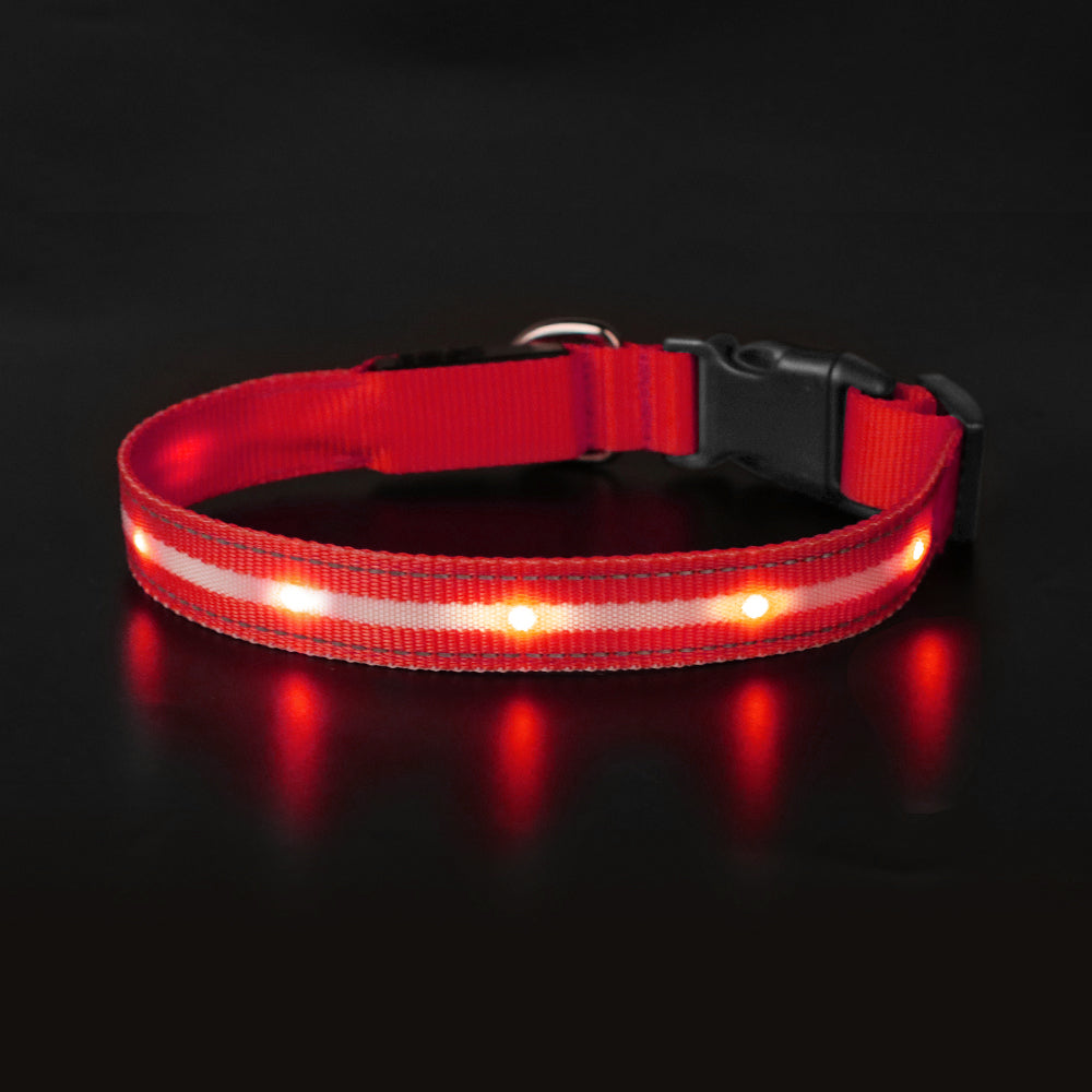 Dotted LED Flashing Dog Collar, Traction Collar, Best Seller Pet Collar, High Quality Pet Accessory, USB Rechargeable.