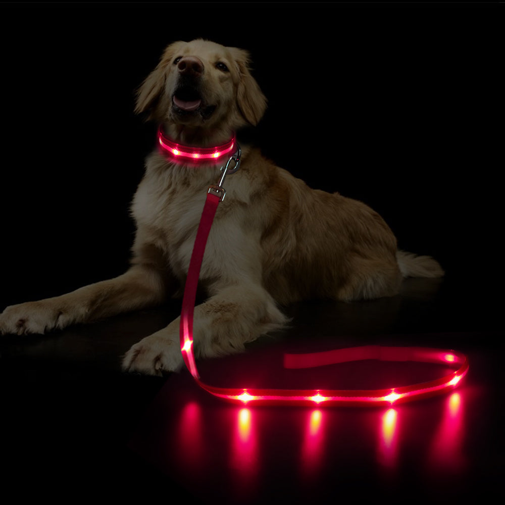 Dotted LED Flashing Dog Leash, Traction Rope, Best Seller Pet Leash, High Quality Pet Accessory, USB Rechargeable