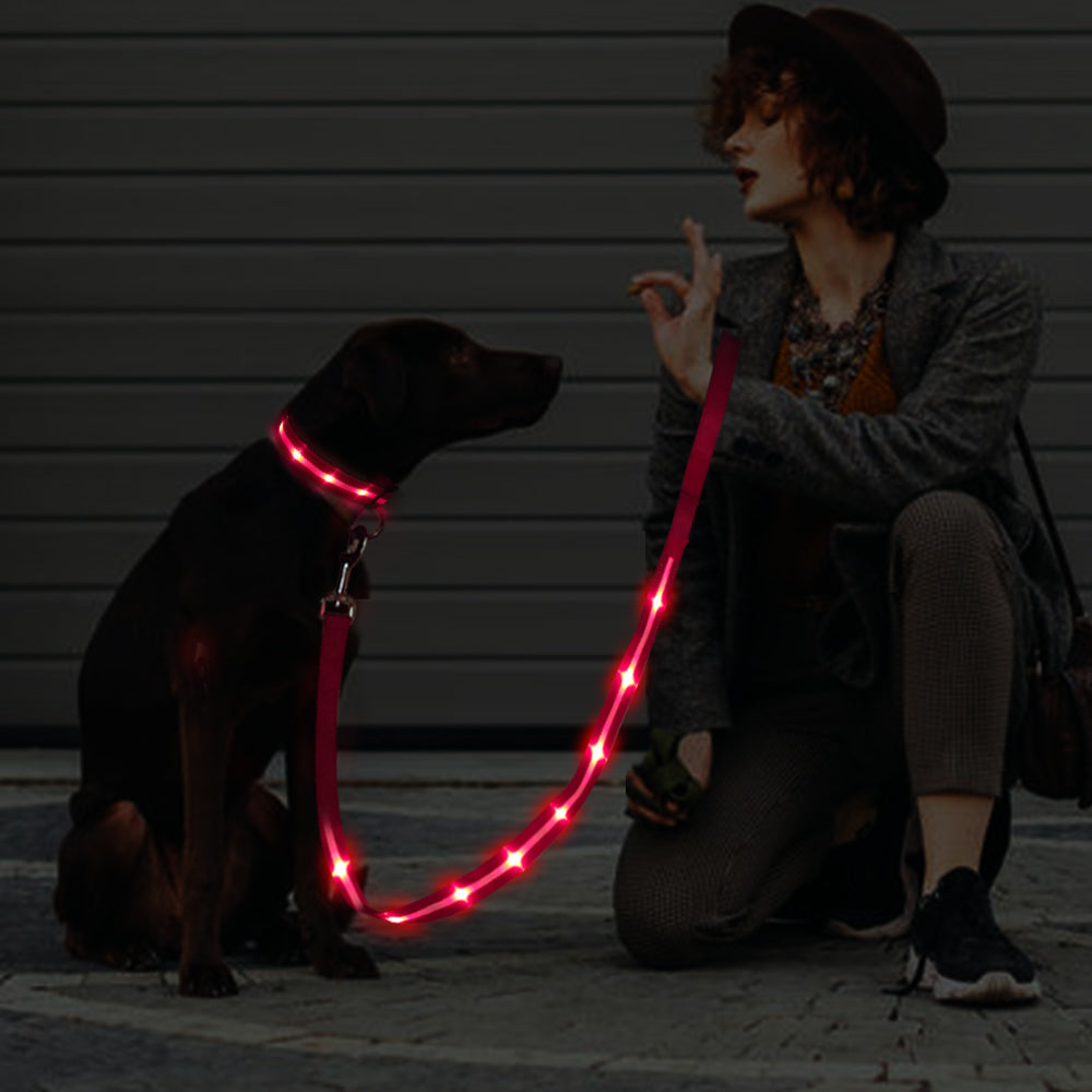 Dotted LED Flashing Dog Leash, Traction Rope, Best Seller Pet Leash, High Quality Pet Accessory, USB Rechargeable