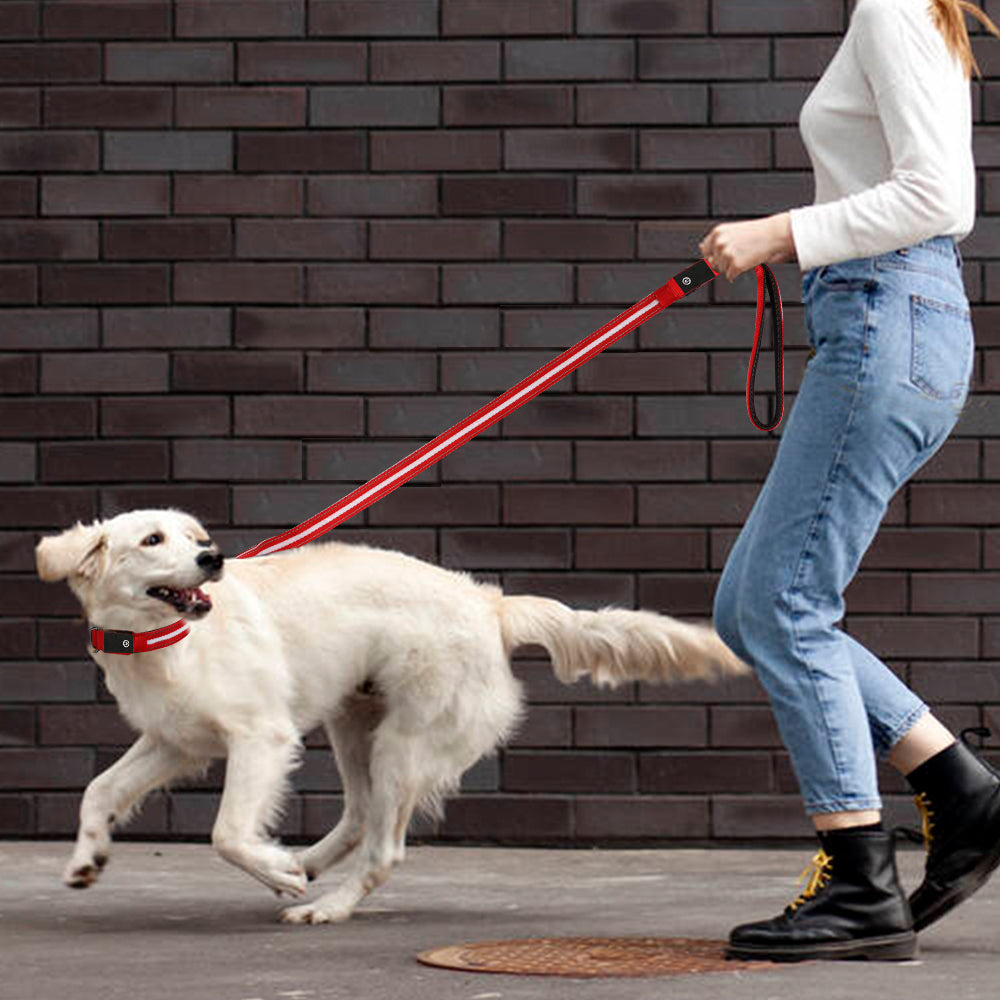 Dotted LED Flashing Dog Leash, Traction Rope, Best Seller Pet Leash, High Quality Pet Accessory, USB Rechargeable