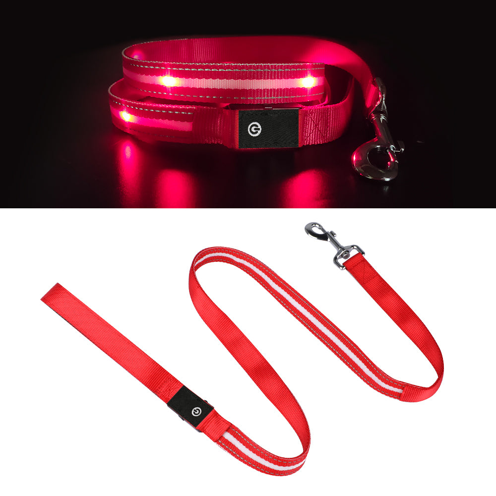 Dotted LED Flashing Dog Leash, Traction Rope, Best Seller Pet Leash, High Quality Pet Accessory, USB Rechargeable