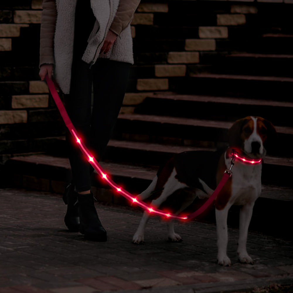 Dotted LED Flashing Dog Leash, Traction Rope, Best Seller Pet Leash, High Quality Pet Accessory, USB Rechargeable
