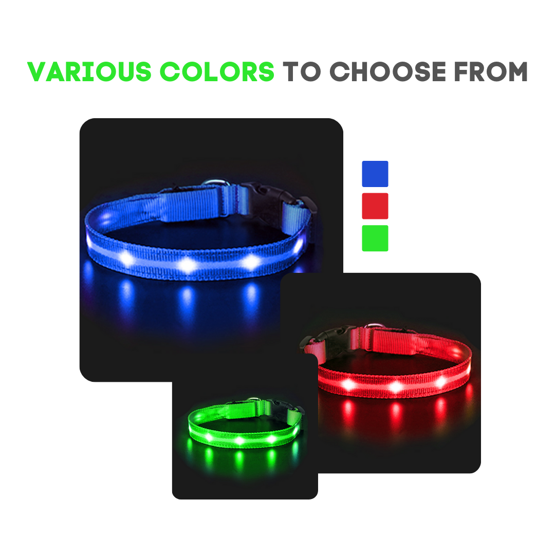 Dotted LED Flashing Dog Collar, Traction Collar, Best Seller Pet Collar, High Quality Pet Accessory, USB Rechargeable.