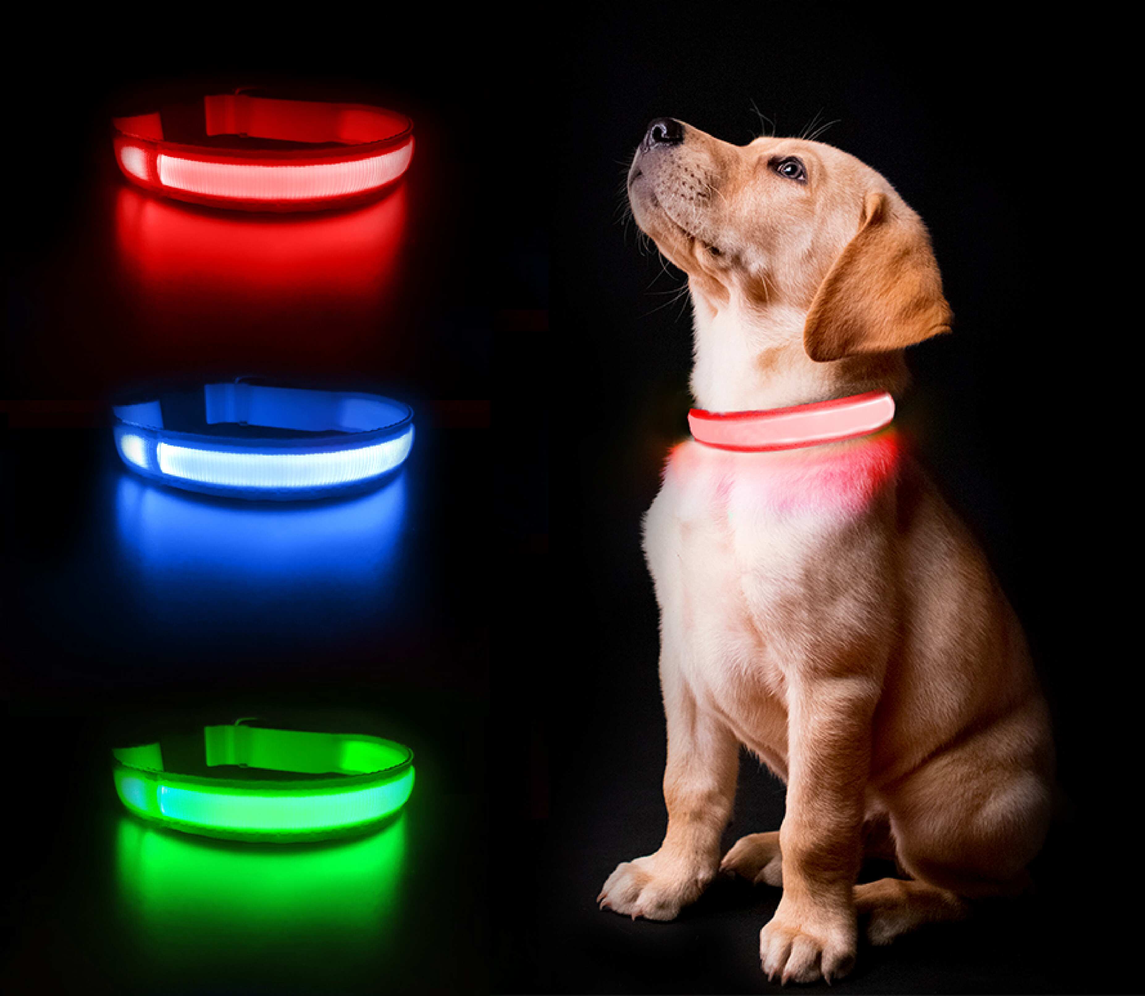 Collare per cani lampeggiante a LED a strisce, collare di trazione, collare per animali domestici best seller, accessorio per animali domestici di alta qualità, ricaricabile tramite USB.