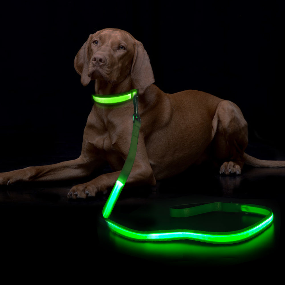 Guinzaglio per cani lampeggiante a LED a strisce, corda di trazione, guinzaglio per animali domestici best seller, accessorio per animali domestici di alta qualità, ricaricabile tramite USB.