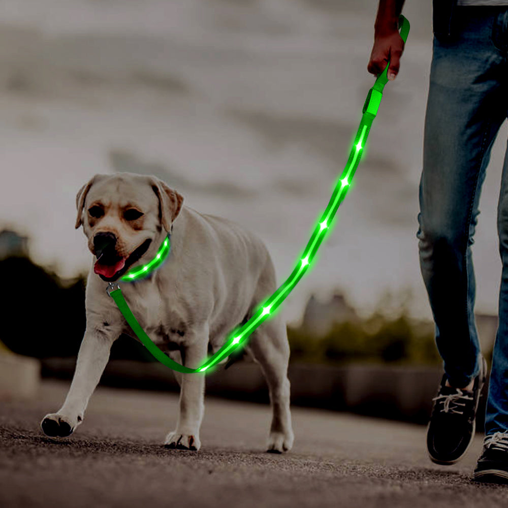 Dotted LED Flashing Dog Leash, Traction Rope, Best Seller Pet Leash, High Quality Pet Accessory, USB Rechargeable