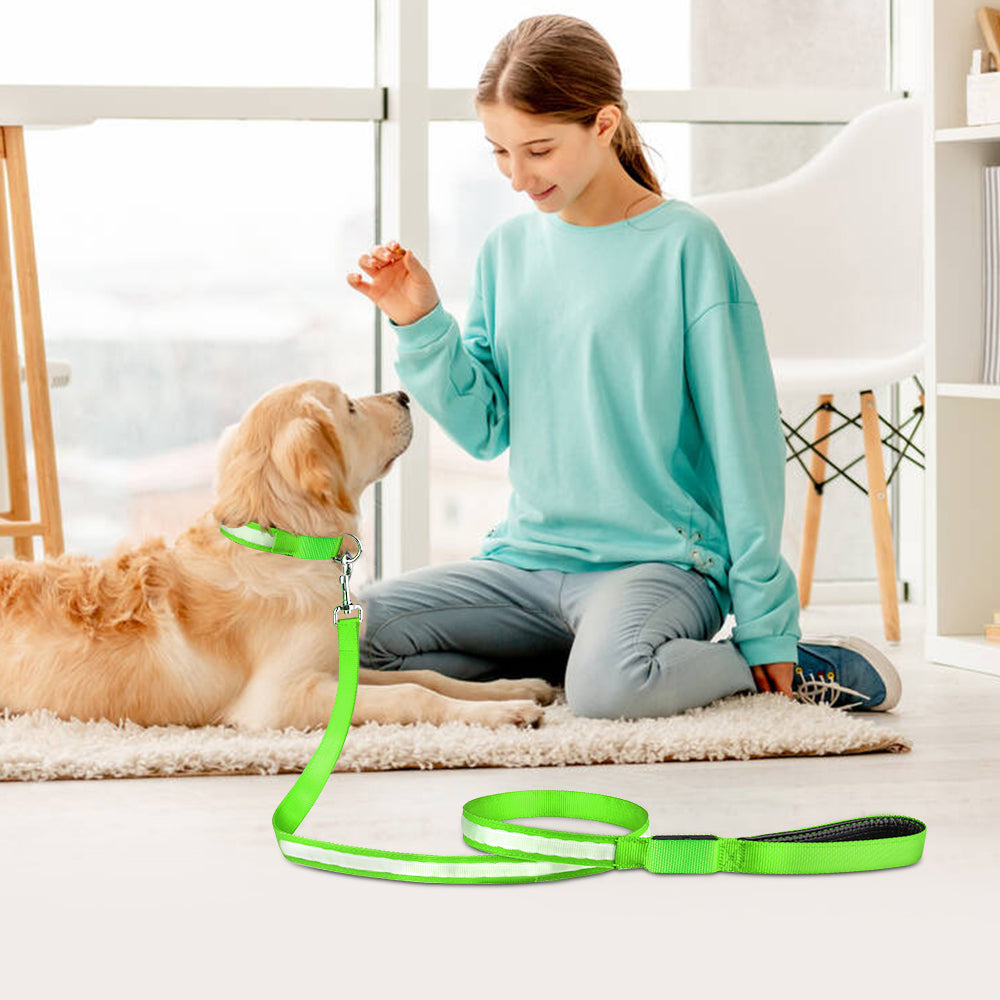 Striped LED Flashing Dog Leash, Traction Rope, Best Seller Pet Leash, High Quality Pet Accessory, USB Rechargeable.