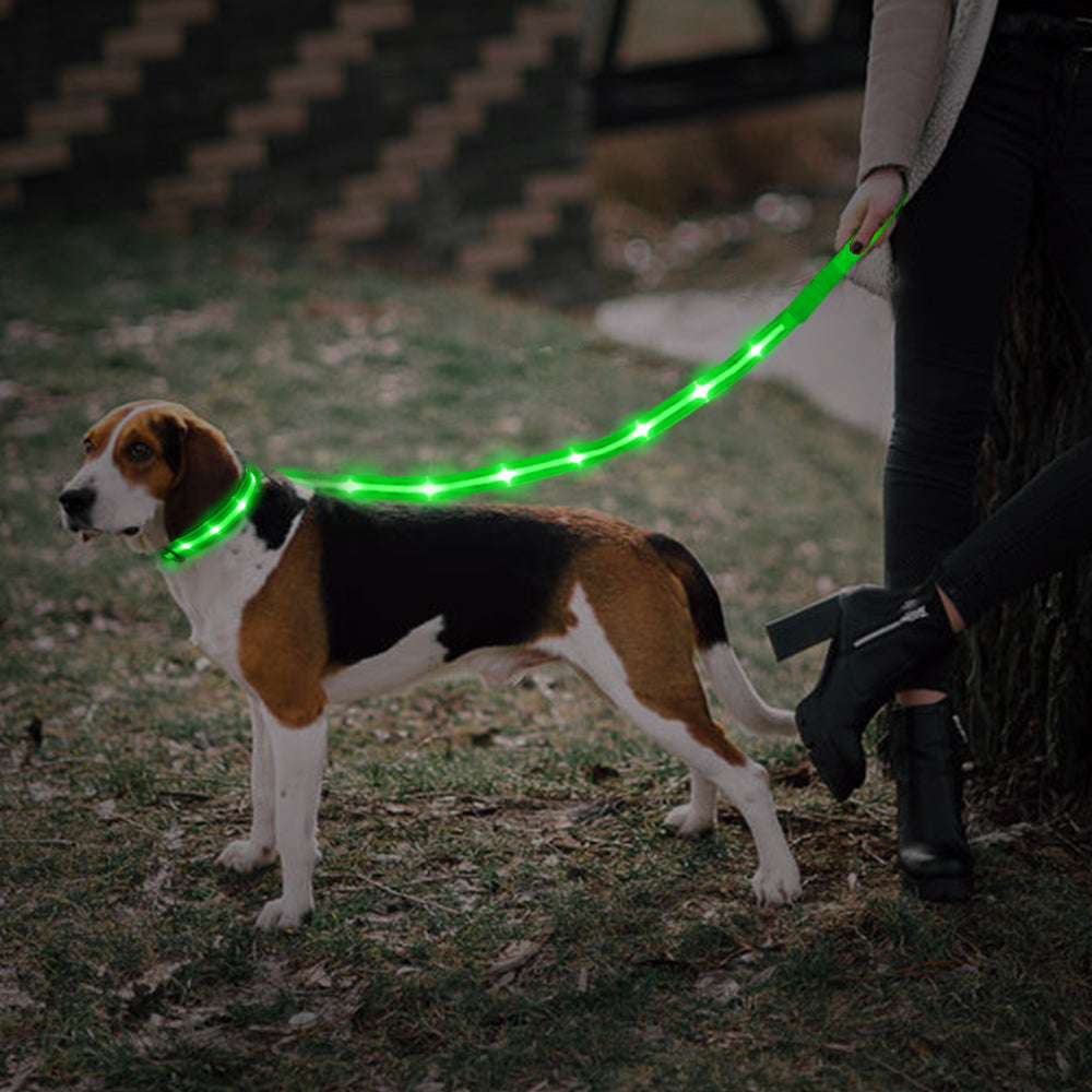 Guinzaglio per cani lampeggiante a LED punteggiato, corda di trazione, guinzaglio per animali domestici best seller, accessorio per animali domestici di alta qualità, ricaricabile tramite USB