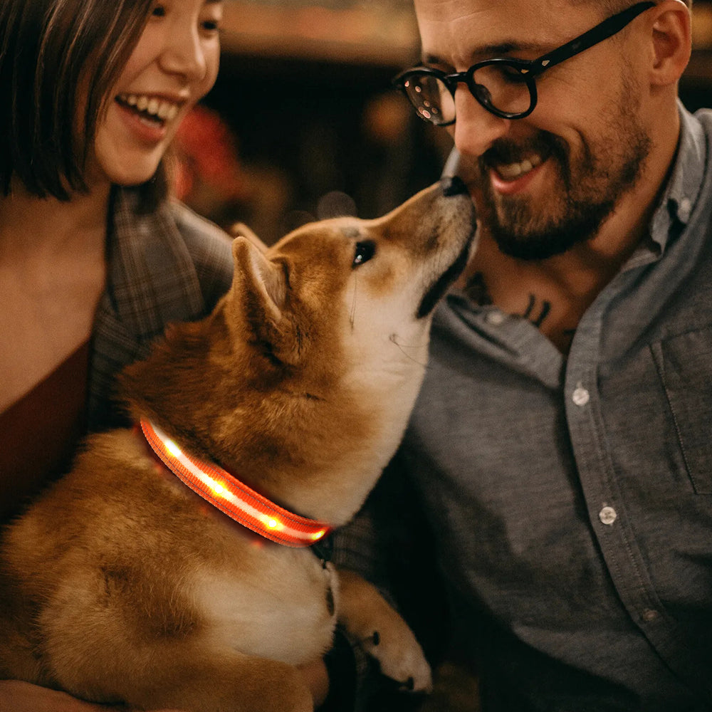 Collare per cani lampeggiante a LED punteggiato, collare di trazione, collare per animali domestici best seller, accessorio per animali domestici di alta qualità, ricaricabile tramite USB.