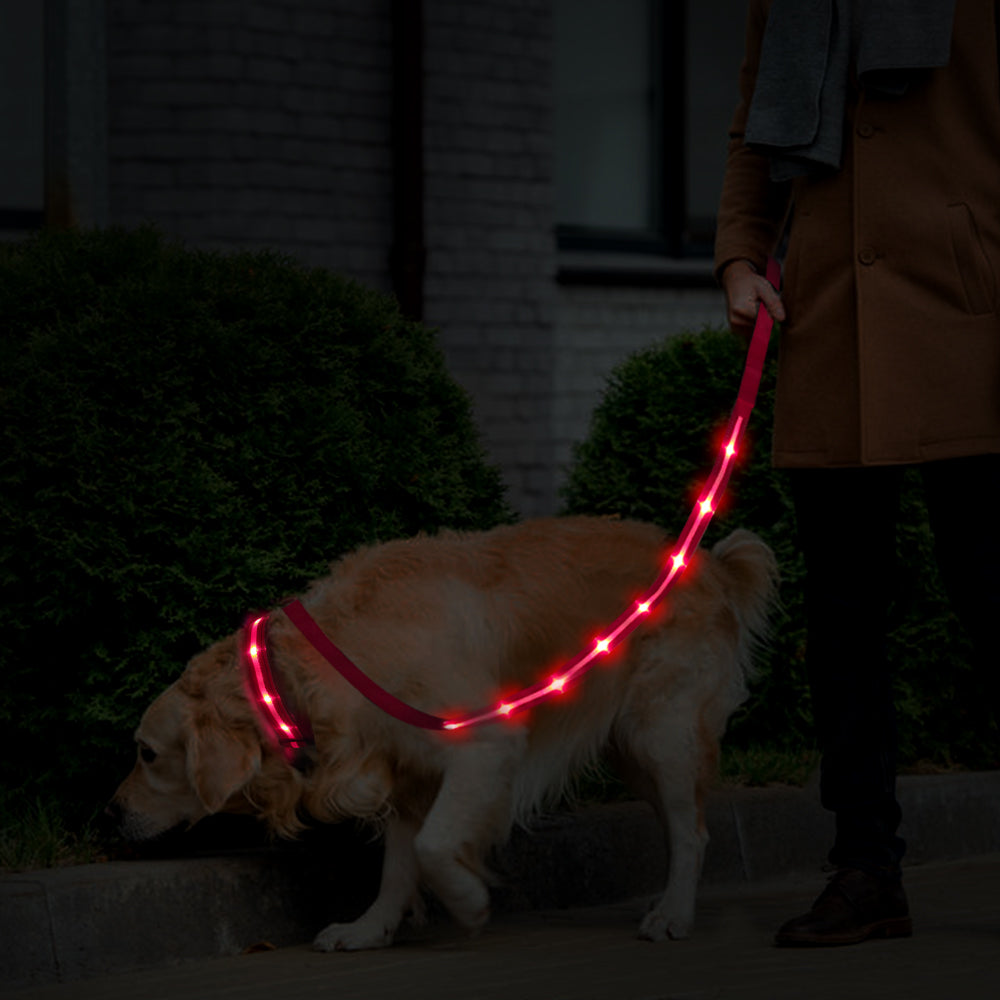 Guinzaglio per cani lampeggiante a LED punteggiato, corda di trazione, guinzaglio per animali domestici best seller, accessorio per animali domestici di alta qualità, ricaricabile tramite USB