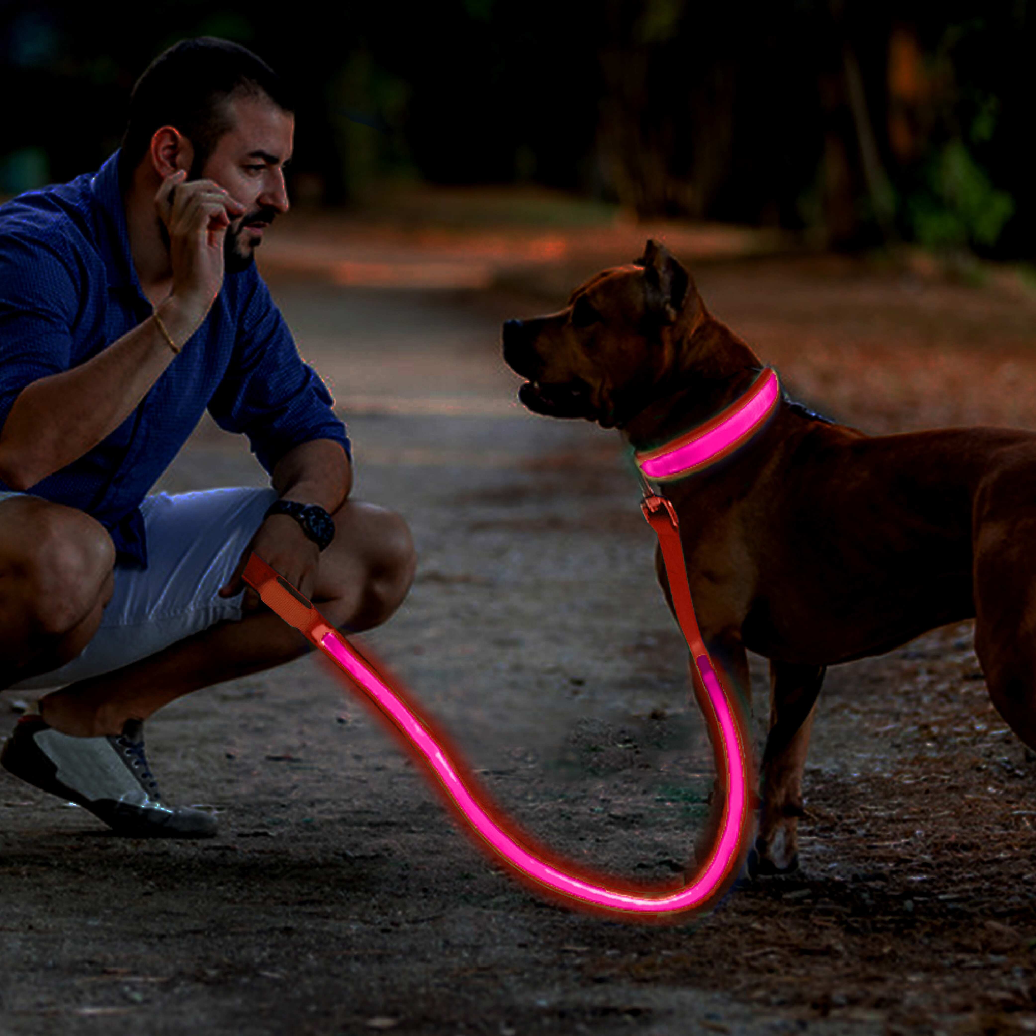 Striped LED Flashing Dog Leash, Traction Rope, Best Seller Pet Leash, High Quality Pet Accessory, USB Rechargeable.